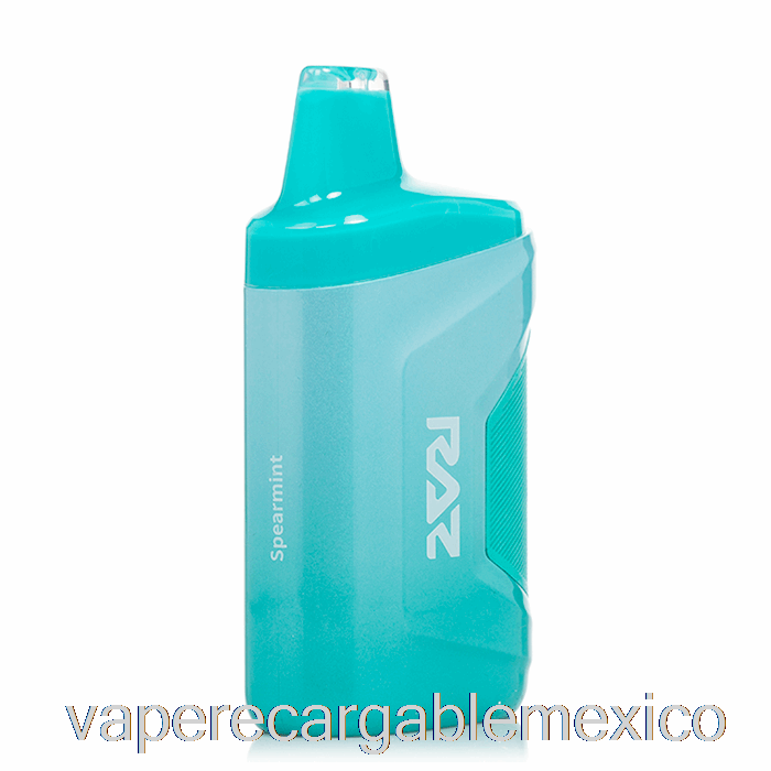 Vape Recargable Raz Ca6000 6000 Desechable Menta Verde
